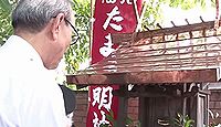 たま神社 - 和歌山電鉄の貴志川線貴志駅に鎮座、駅長猫をたま大明神として祀る