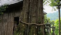 桑原神社 兵庫県豊岡市竹野町桑野本