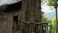 桑原神社　兵庫県豊岡市竹野町桑野本のキャプチャー