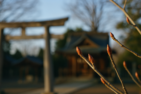 冬芽は神が置いた来年への印 ― 神社の木々に宿る予兆観のキャプチャー