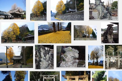 若宮神社　熊本県八代市東陽町南のキャプチャー