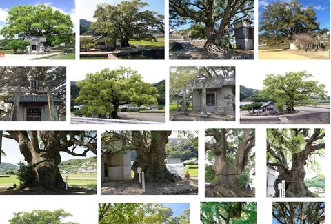 速雨神社　徳島県徳島市八多町板東のキャプチャー