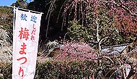 龍尾神社 - 春のしだれ梅で知られる山内一豊も崇敬した掛川城の守護神、10月に掛川祭