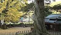 追手神社　兵庫県篠山市大山宮のキャプチャー