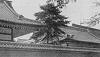 御巫等祭神八座 いわゆる八神殿 - 延喜式神名帳