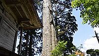 石動神社(新庄市) - 大野東人が植えた樹齢1300年の親スギ、「いぼ石」とウナギ信仰