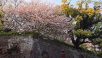 鹿児島城　薩摩国（鹿児島県鹿児島市）のキャプチャー