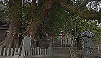 岡上神社　徳島県板野郡板野町大寺のキャプチャー