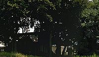 於神社(観音寺市) - 粟井町上野に鎮座する上野八幡宮、丸亀藩主京極高矩による再興