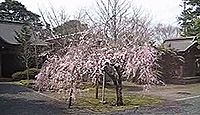 名和神社　鳥取県西伯郡大山町名和のキャプチャー