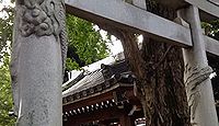 宿鳳山高円寺の境内、稲荷神社 - 東京三鳥居