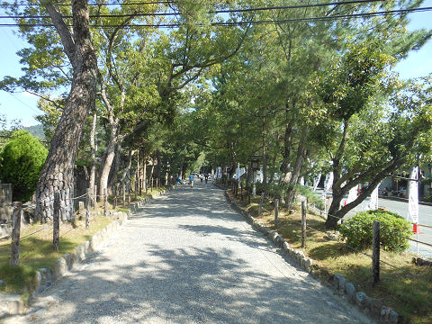 大神神社の歩行者用参道、美しい並木道 - ぶっちゃけ古事記