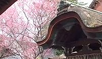 下御霊神社　京都府京都市中京区のキャプチャー