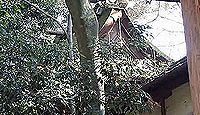 元伊勢「隠市守宮」伝承地の一つである宇流冨志禰神社(名張市平尾)