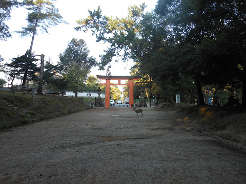 春日大社の一之鳥居から入り、参道を進み、一之鳥居を振り返る - ぶっちゃけ古事記