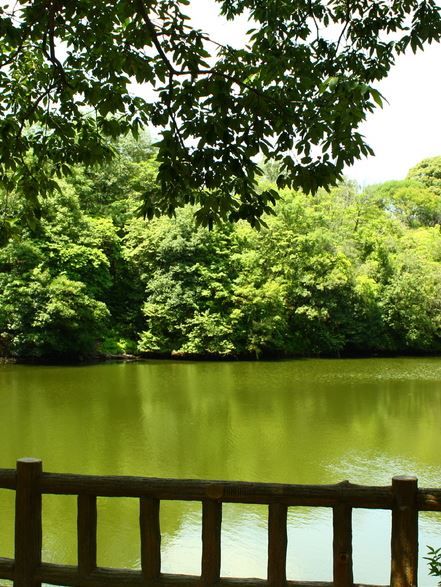 五塚原古墳 - 卑弥呼の墓ともされる箸墓古墳にしかない二つの類似点が発見されるのキャプチャー