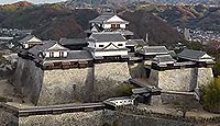 松山城 伊予国(愛媛県松山市) - サムネイル写真