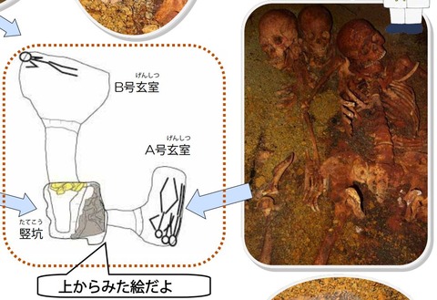 菓子野地下式横穴墓、人骨の歯にアズキ？　死の前に食べていた？ - 宮崎・都城のキャプチャー