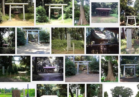 老尾神社　千葉県匝瑳市生尾のキャプチャー