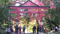 日吉大社 - 豊臣秀吉ゆかり、全国に約2000社ある日吉・日枝・山王神社の総本社