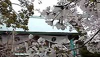 伊勢原大神宮　神奈川県伊勢原市伊勢原のキャプチャー