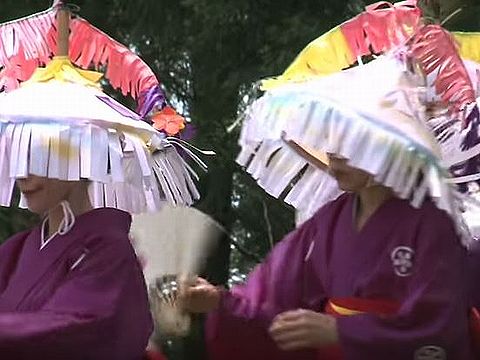 徳島県の重要無形民俗文化財