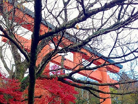 ご利益ごとに見る日本の神々 - 健康長寿、金運、開運、出世、交渉、良縁・縁結びなど