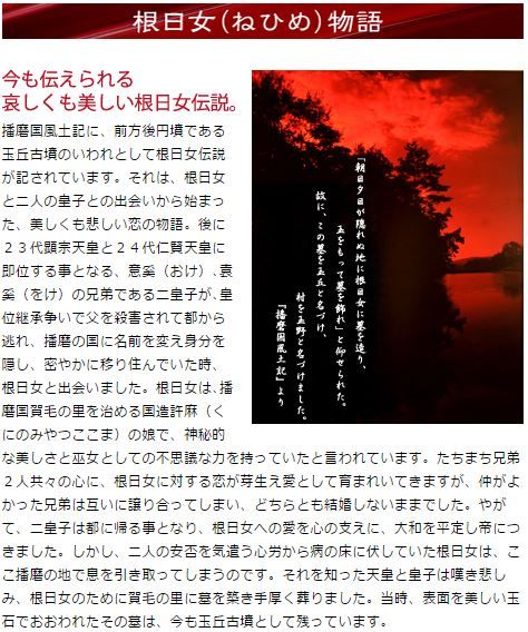 伝承は実話だった？　“大王級の石棺”を確認した玉丘古墳に伝えられる「根日女伝説」とは？のキャプチャー