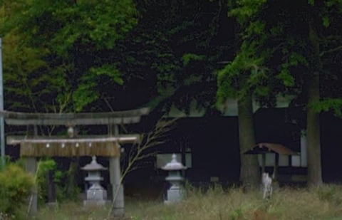二宮神社(茨城県北相馬郡利根町横須賀591)