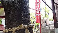 八股榎大明神　愛媛県松山市堀之内