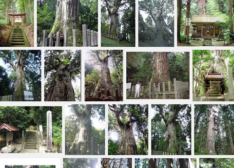 熊野神社　山形県鶴岡市水沢熊野前のキャプチャー