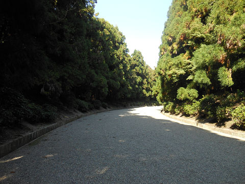 神武天皇陵の広々とした、緑も清々しい参道 - ぶっちゃけ古事記