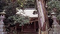 来宮神社(伊豆市八幡) - 大見郷鎮守、大見三人衆の後裔が補修、樹齢400年の鳥居スギ