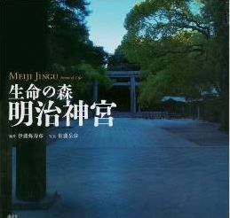 『生命の森 明治神宮』（著者：伊藤弥寿彦、写真：佐藤岳彦） - 都内屈指の豊かな生態系のキャプチャー