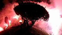 大我井神社 埼玉県熊谷市妻沼大我井