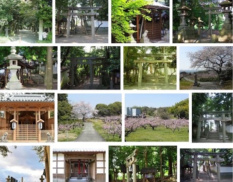 楠本神社　大阪府岸和田市包近町1448