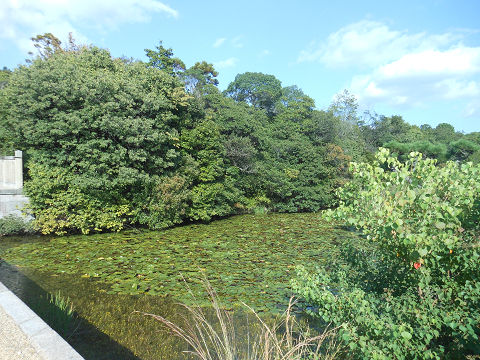 磐之媛命陵「平城坂上陵」、つまりイワノの陵墓であるヒシアゲ古墳、お堀越しに陵墓本体を望む - ぶっちゃけ古事記