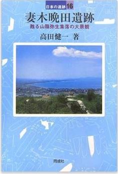 高田健一『妻木晩田遺跡―甦る山陰弥生集落の大景観 (日本の遺跡)』のキャプチャー