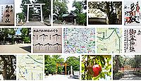 御坂神社 兵庫県三木市志染町御坂の御朱印