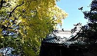 玉敷神社 - 埼玉郡の総鎮守で久伊豆神社の総本社、藤やあじさい、紅葉、神楽で有名