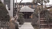 大野天満宮 千葉県市川市大野町