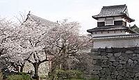 福岡城 筑前国(福岡県福岡市) - サムネイル写真