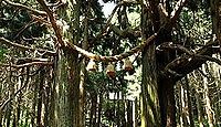 高階社 富山県氷見市一刎