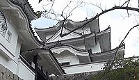 上野城 伊賀国(三重県伊賀市) - サムネイル写真