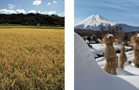 別表神社巡りのススメ - 「さて、どの神社に行こう？」と思い立った時のキーワードとしてのキャプチャー