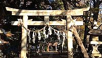 氷川神社　埼玉県さいたま市浦和区本太のキャプチャー