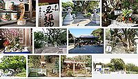 玉祖神社 大阪府八尾市神立の御朱印