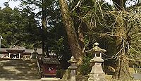 蒲生八幡神社（姶良市） - 和気清麻呂の杖が化した「日本一の大楠」、島津義弘による崇敬