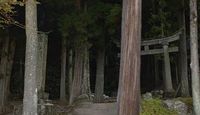 八幡神社 福井県大野市小矢戸