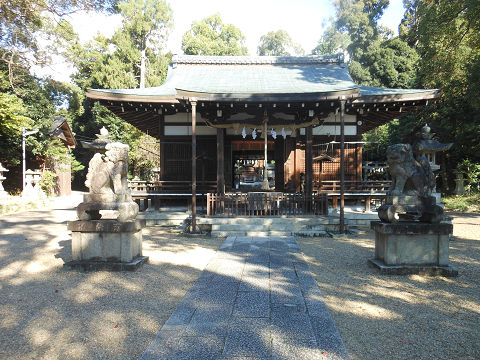 伊射奈岐神社 拝殿 - ぶっちゃけ古事記